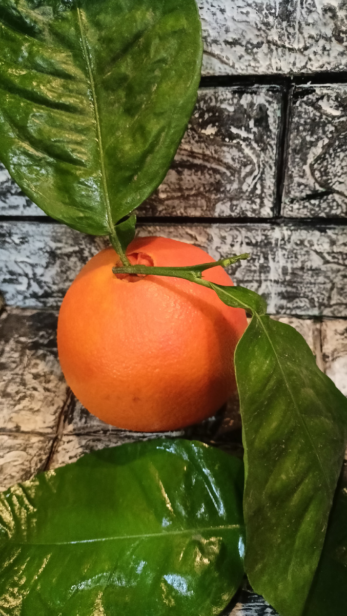 Листья специально притащила с магазина, с ящика с апельсинами, уж больно красивые 🙂. 