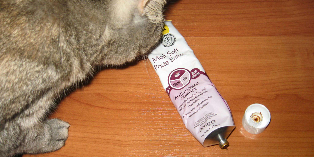 🐱Для чего нужно давать кошкам Мальт-пасту и как это делать правильно