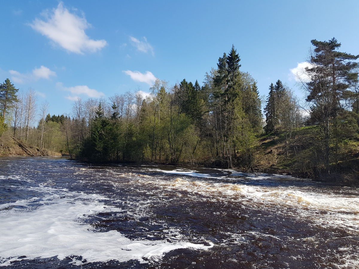 Автор фото: Дмитрий Зюзин 