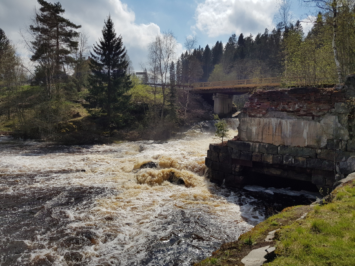 Автор фото: Дмитрий Зюзин 