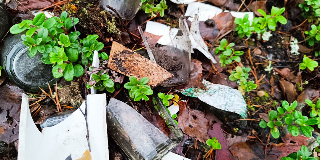 Свалка двух эпох: почему я нахожу финское стекло вперемешку с советской водкой и полные карманы монет 1946 года