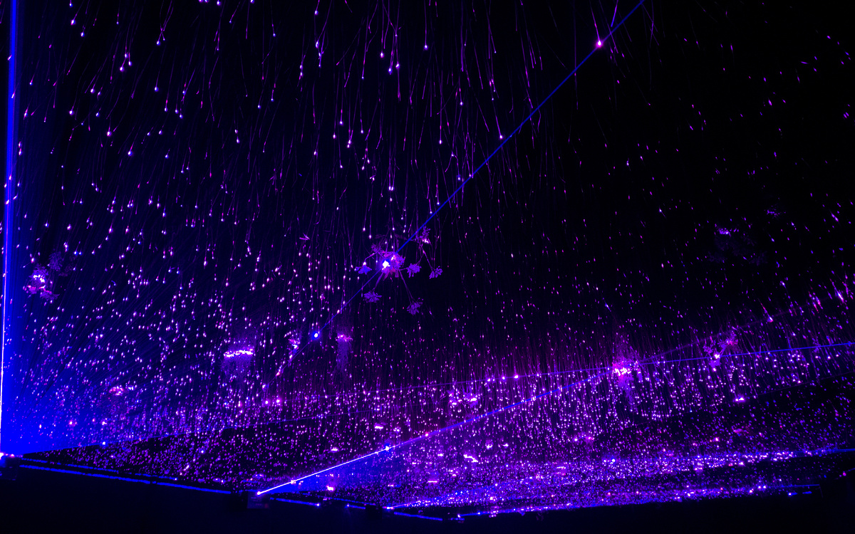 Инсталляция «The Day We Left Field»