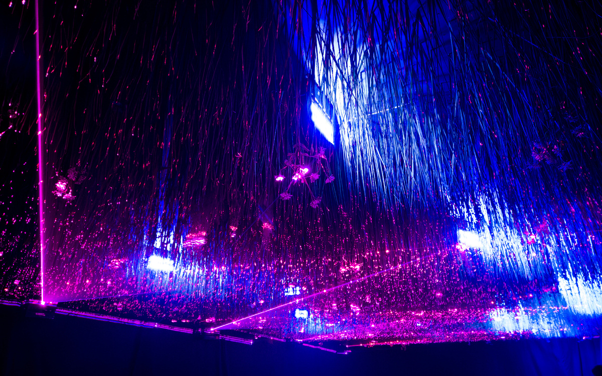 Инсталляция «The Day We Left Field»