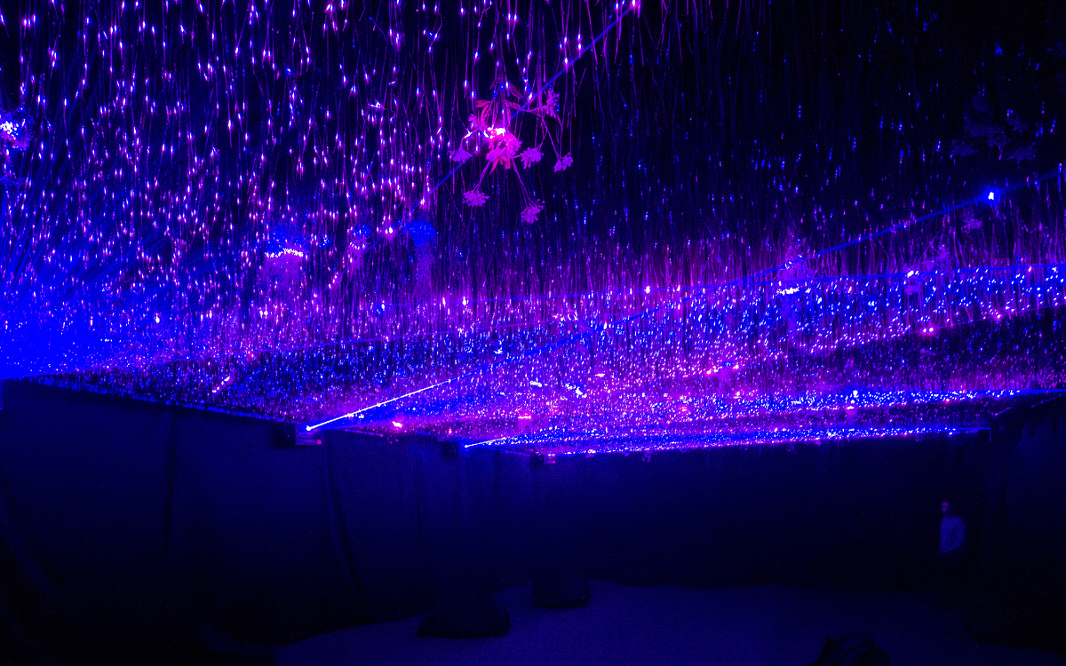 Инсталляция «The Day We Left Field»