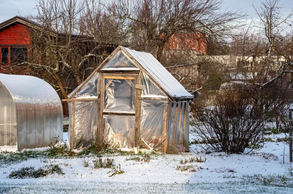    Лунный календарь садовода и огородника