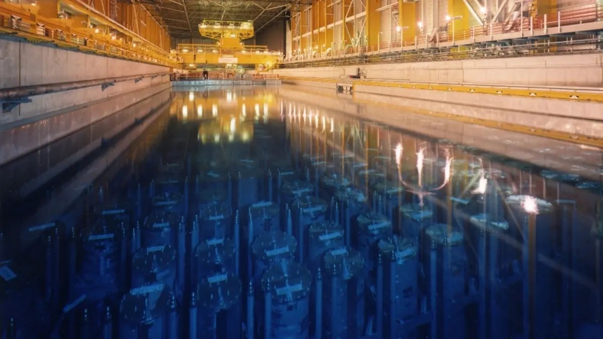 Источник: UK Government  📷
