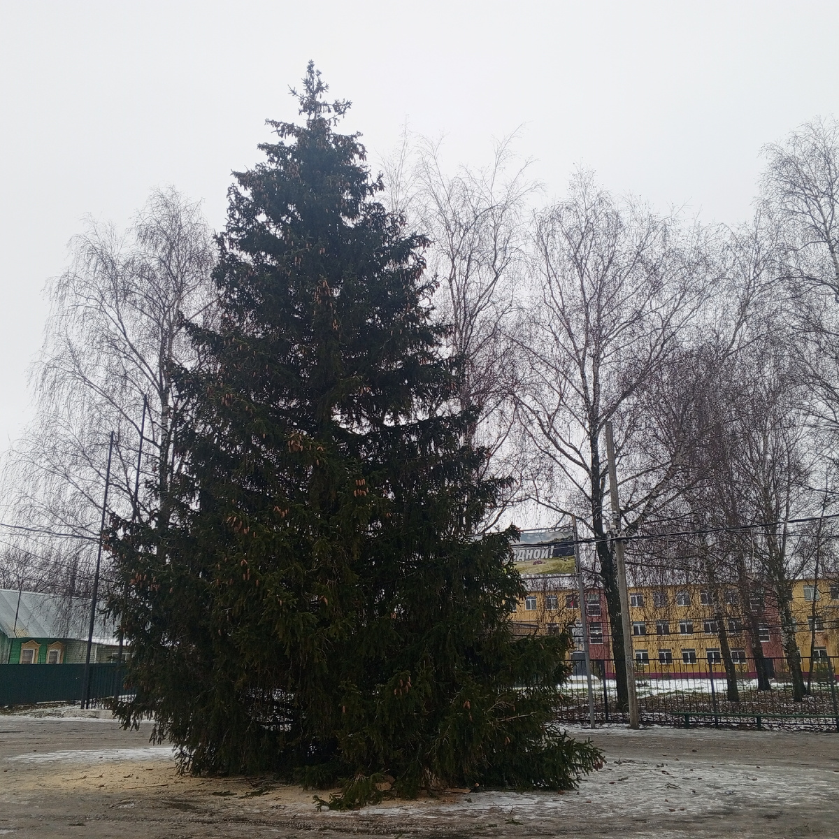 Очень высокая и в меру пушистая.