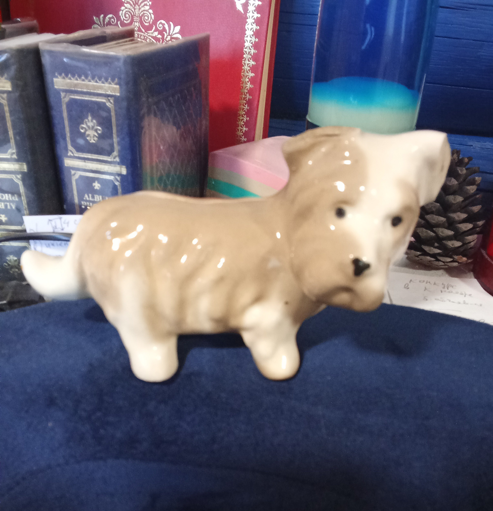 Личное фото