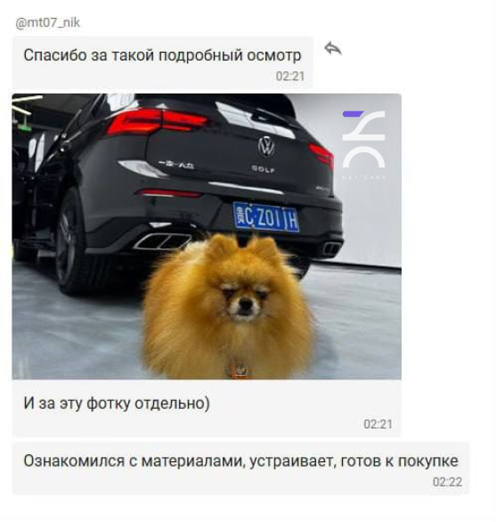 NET CARS. Шпиц-сотрудник на осмотре автомобиля. 