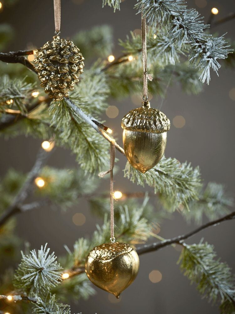 2. Шишки, жёлуди, орешки. Не простые, золотые.