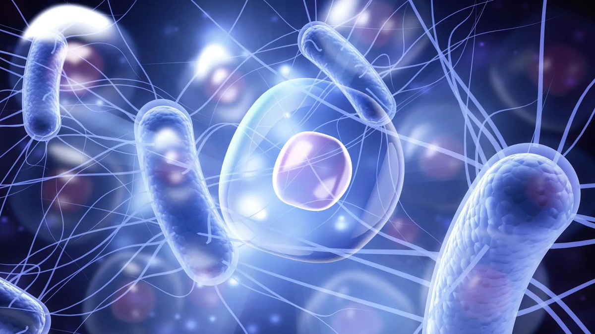 Изображение: Shutterstock