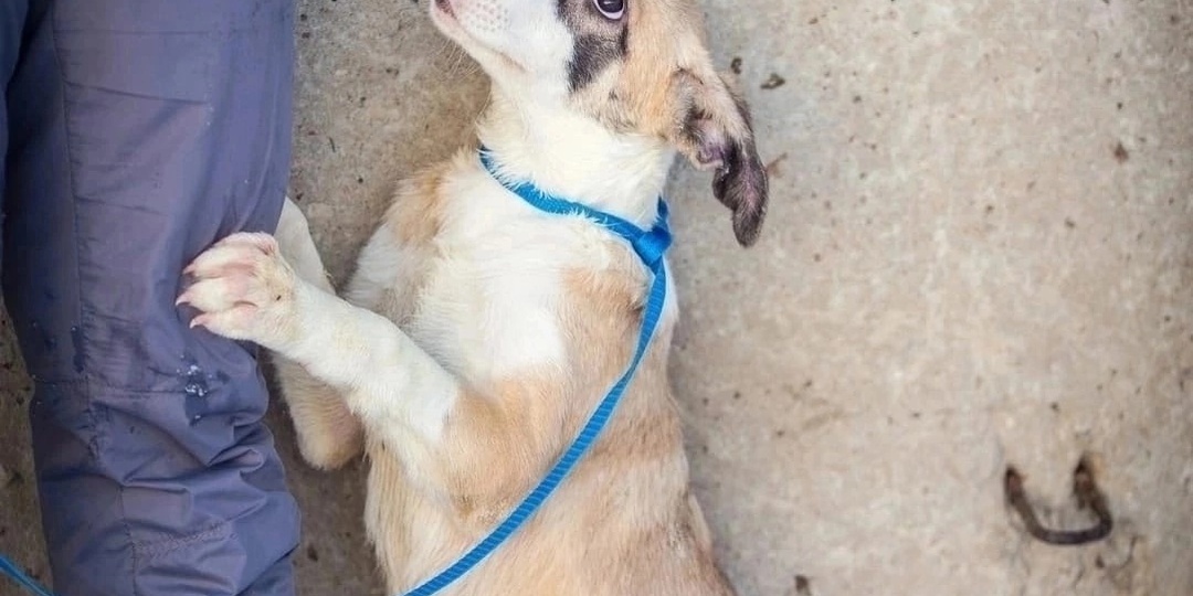 Десять лет смотрит в даль, прислонившись к решетке💔