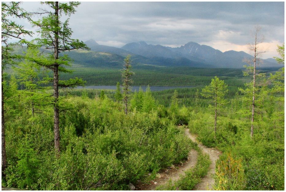 2. Дорога в таёжной долине