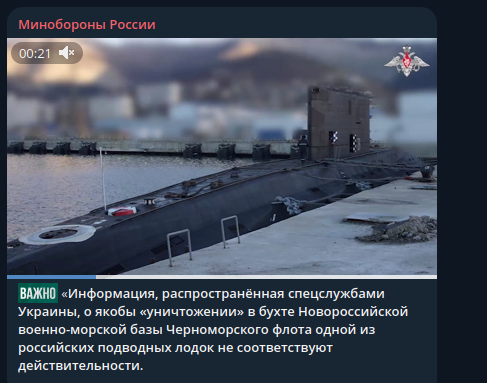    Фото: скриншот Telegram/"Минобороны России"