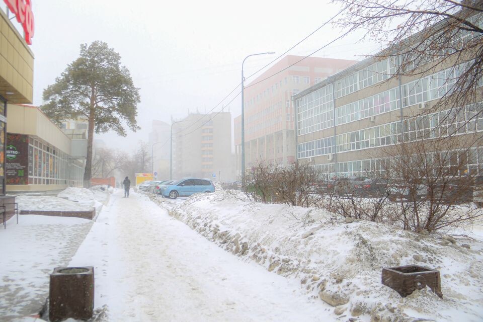    Снег в Барнауле. Зима. Источник: Виталий Барабаш