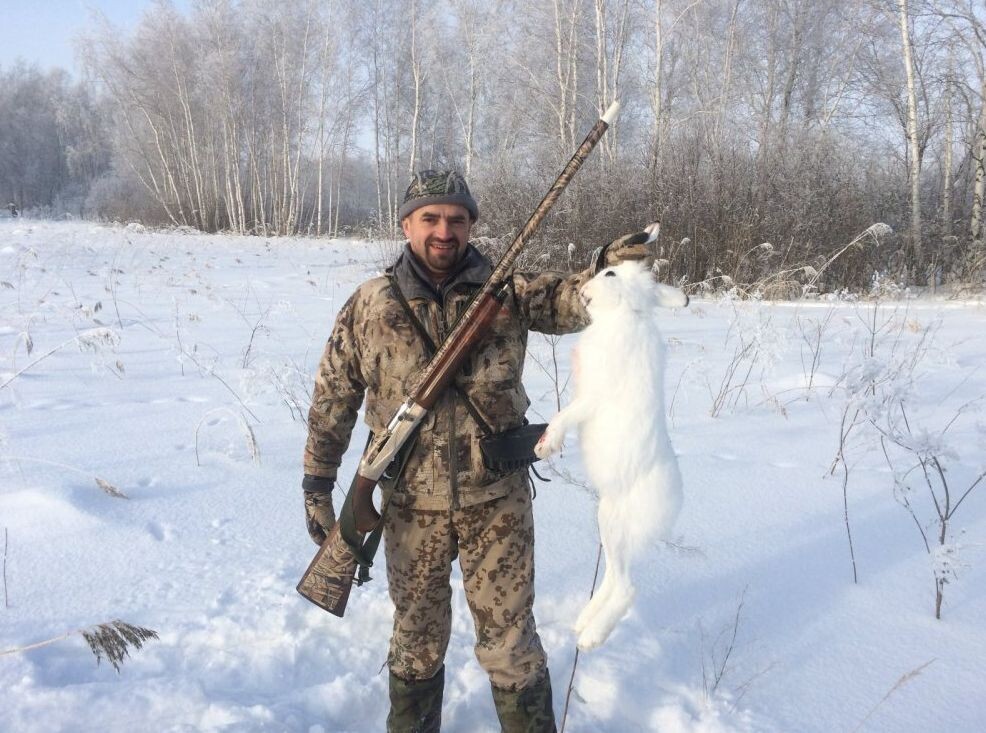 Охота на зайца