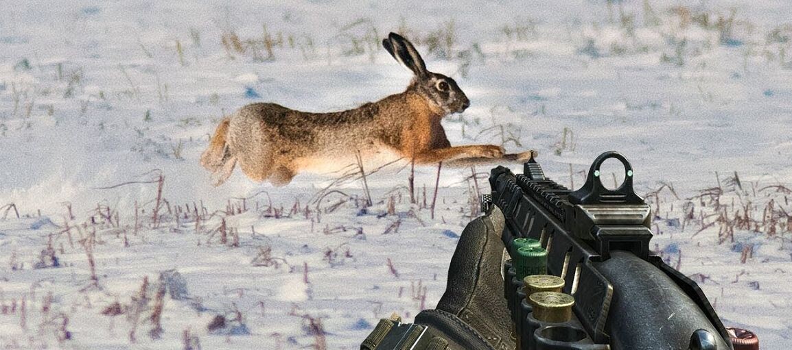 Охота на зайца