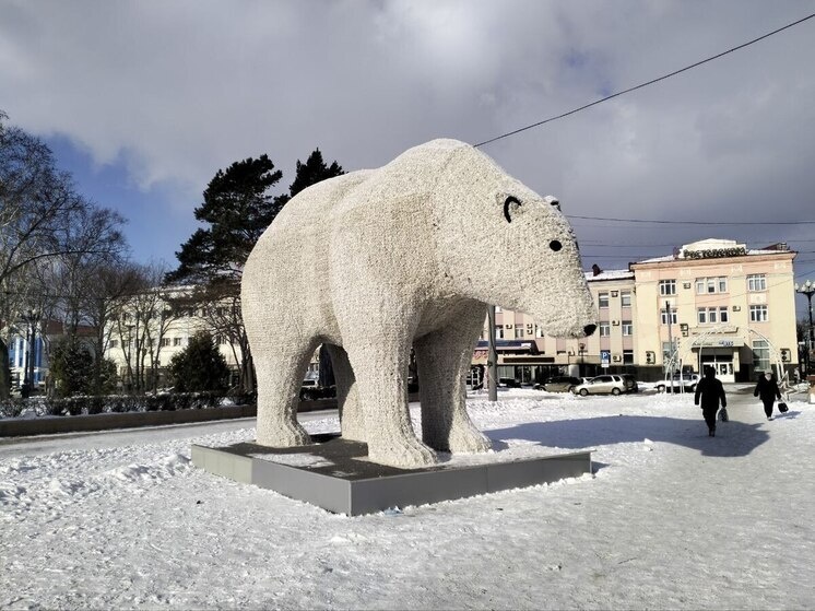     Фото: МК на Сахалине