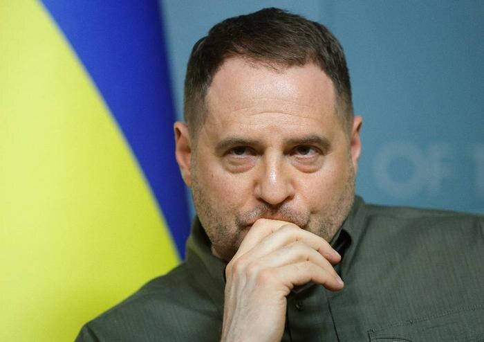 Обложка © ТАСС / ЕРА / SERGEY DOLZHENKO