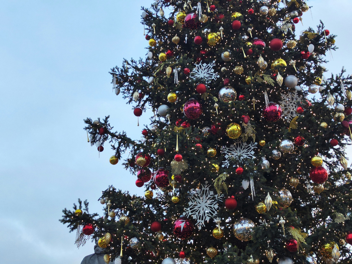 Владивосток встретит Новый год салютом и дискотекой на главной площади.  Фото: Фото: ФедералПресс / Ксения Кобалия