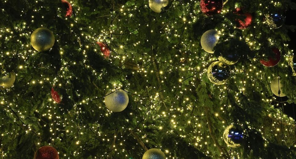    Richard De Luca/Keystone Press Agency / www.globallookpress.com