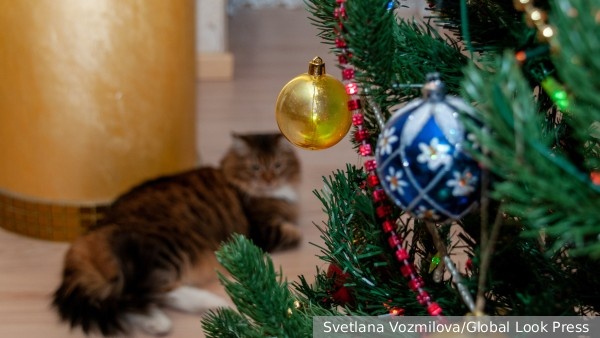     Фото: Svetlana Vozmilova/Global Look Press   
 Текст: Катерина Туманова