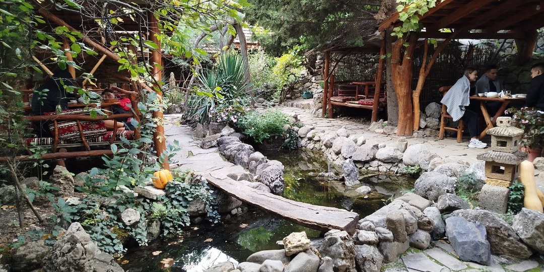 Новая аппетитная подборка: где поесть в Крыму вкусно и недорого