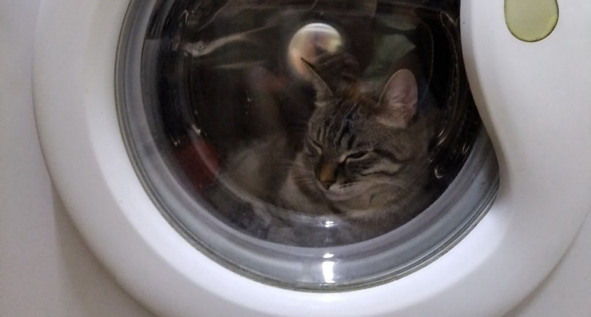    Фото: progorod43.ru