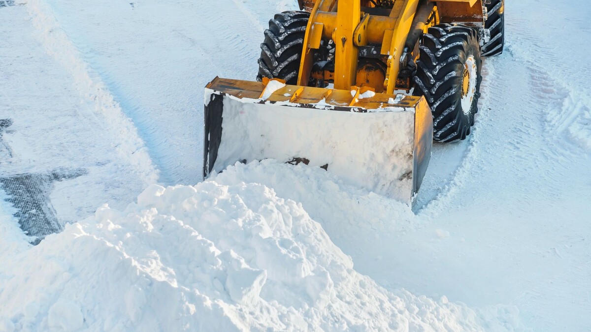    Фото: Leonid Ikan / Shutterstock / Fotodom