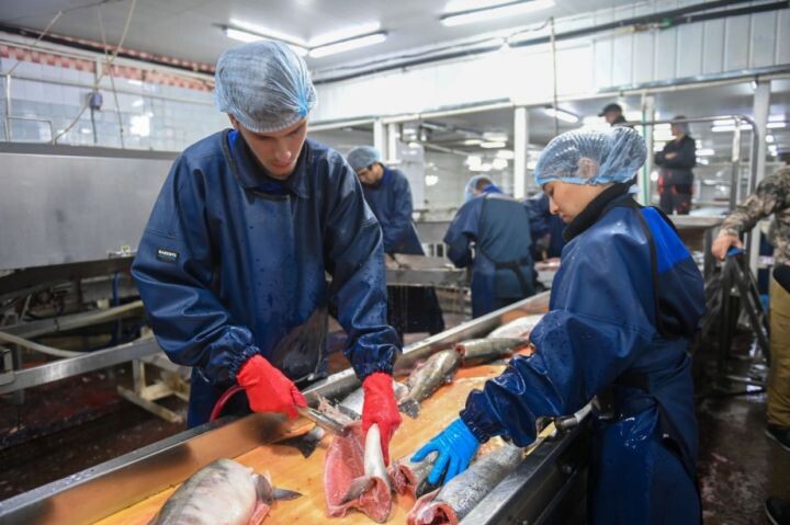    Фото:khabkrai.ru