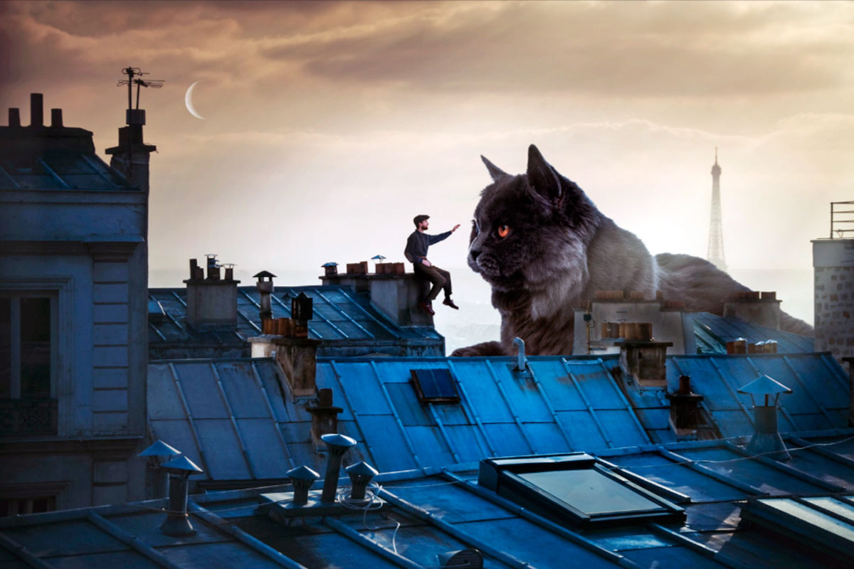 Человек может быть рациональным в областях, не затронутых бредом, поскольку его разум функционирует независимо от пораженных участков психики