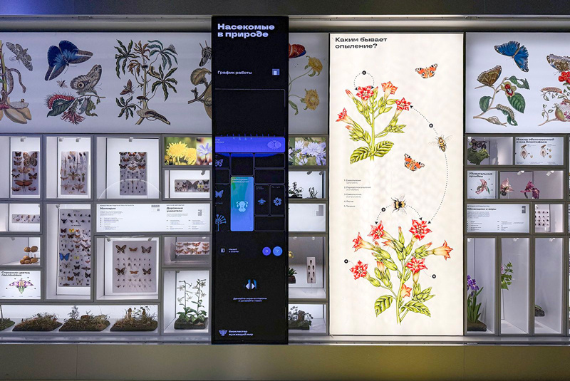 Листайте вправо, чтобы увидеть больше изображений