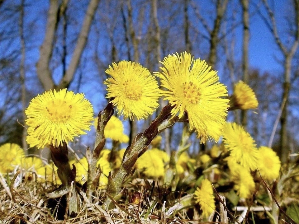 все-таки вышла вечером на скамейку