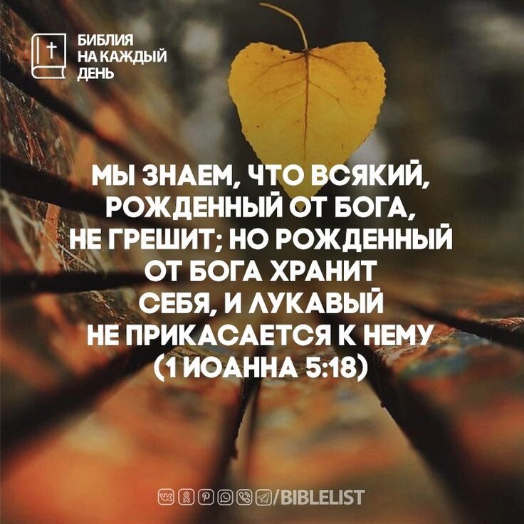 Из открытых источников Яндекса.