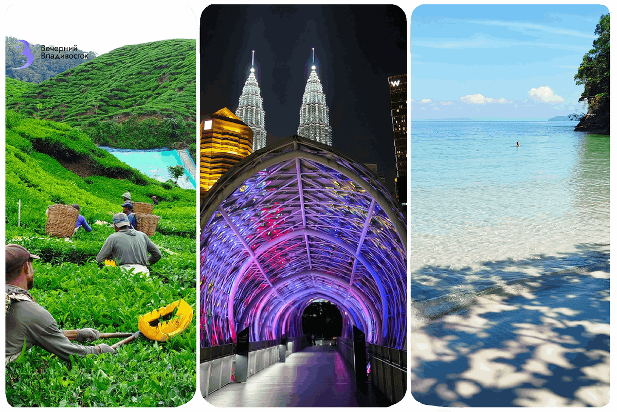 Автор фото:Яна Попова, гид и организатор экскурсий по Куала-Лумпуру и Малайзии