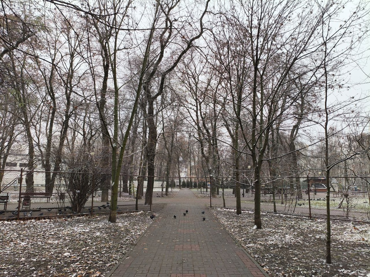     Фото: Евгений МОРОЗОВ