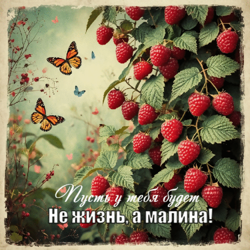 Пусть у тебя будет не жизнь, а малина!