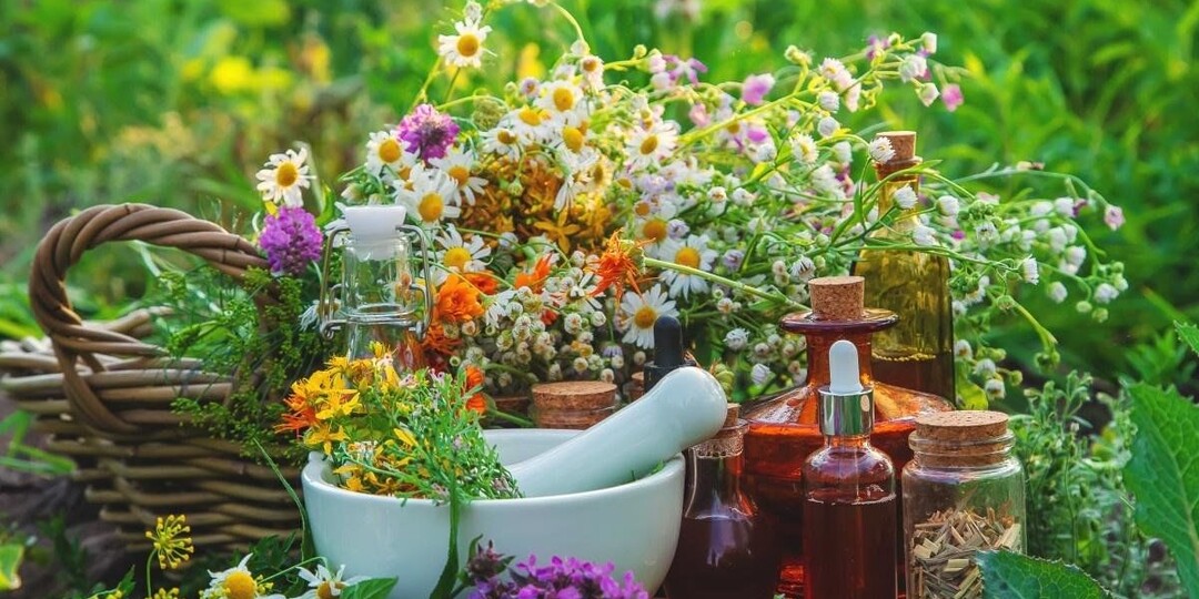 🌿 Лекарственные травы: дар природы, который работает тише, но не слабее аптеки