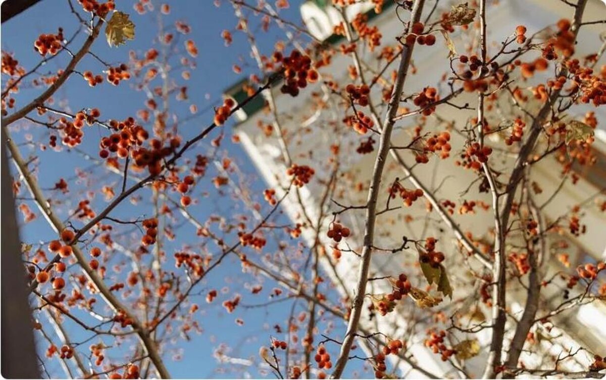    Главные новости Ижевска на утро 18 декабря: места для запуска пиротехники и открытие главной елки