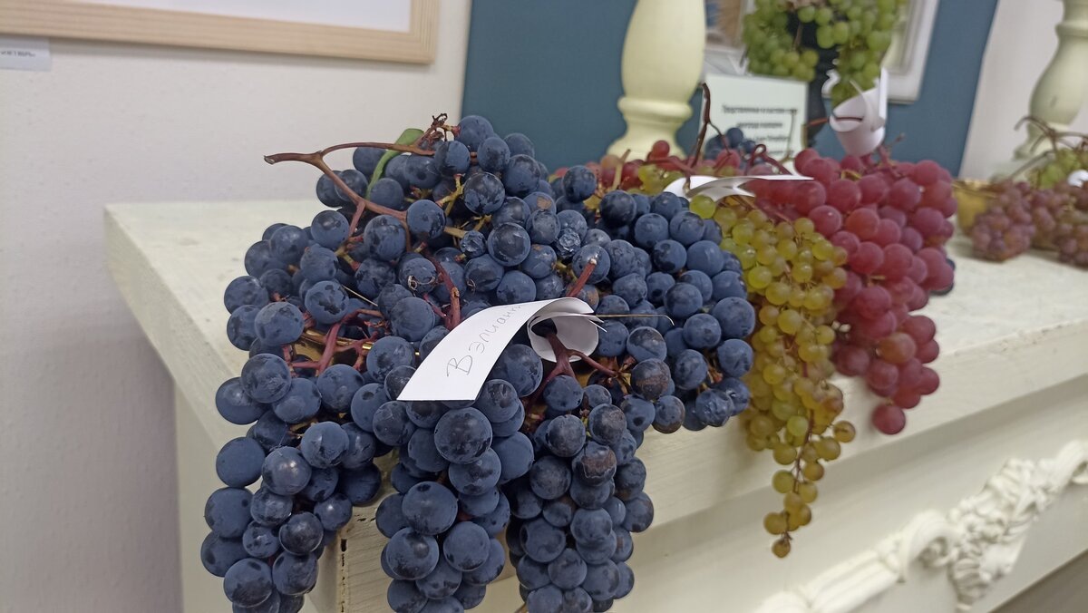 Виноград ближе