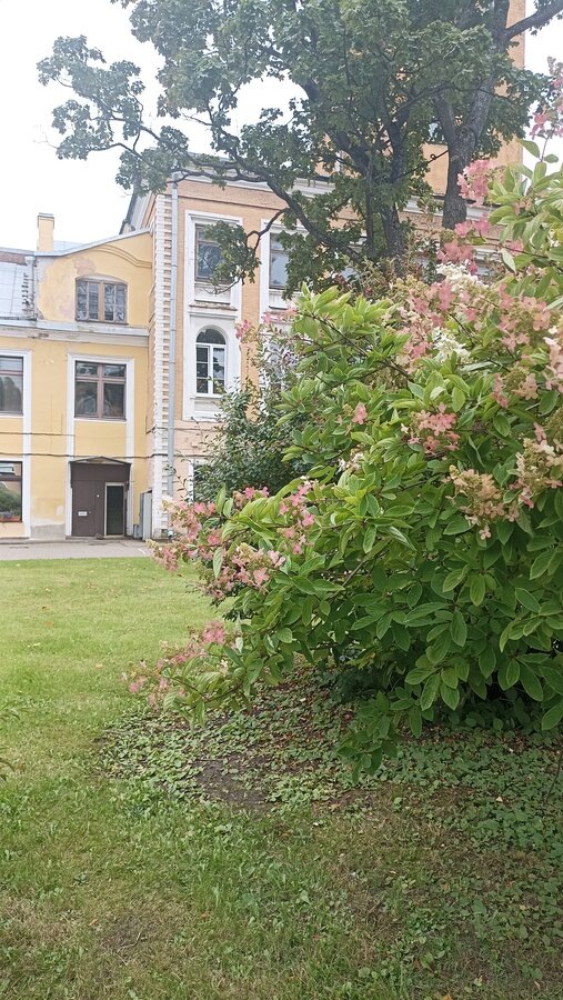 Никогда не видела такого размера