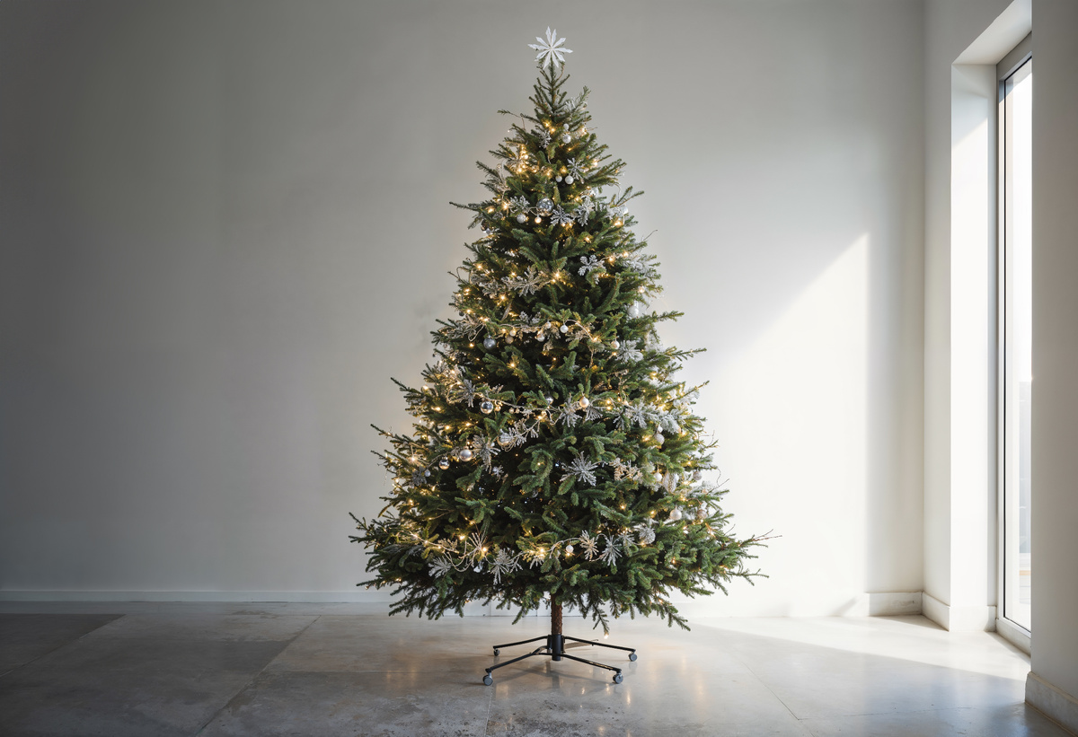 Изображение от freepik