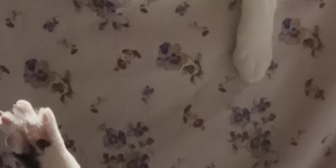 Доедаем после котов. Остатки - сладки!