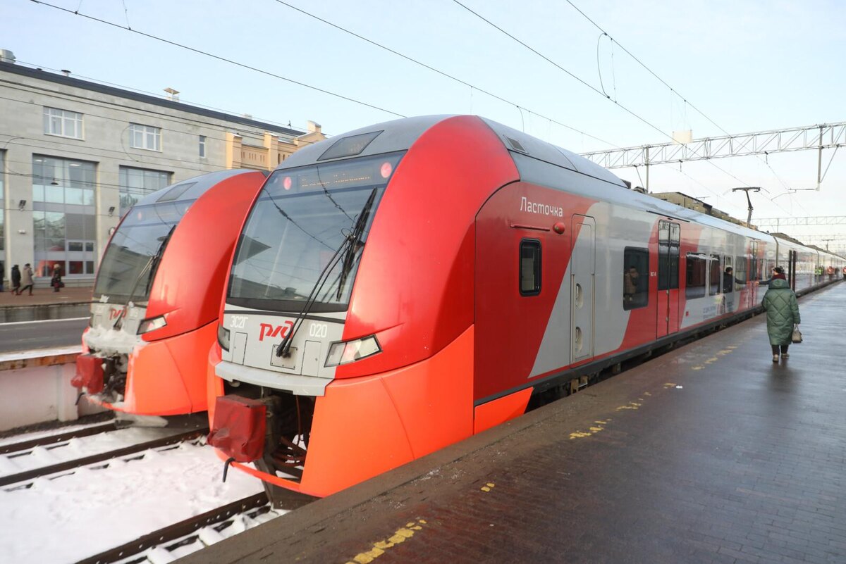 Фото: Александр Глуз/«Петербургский дневник»