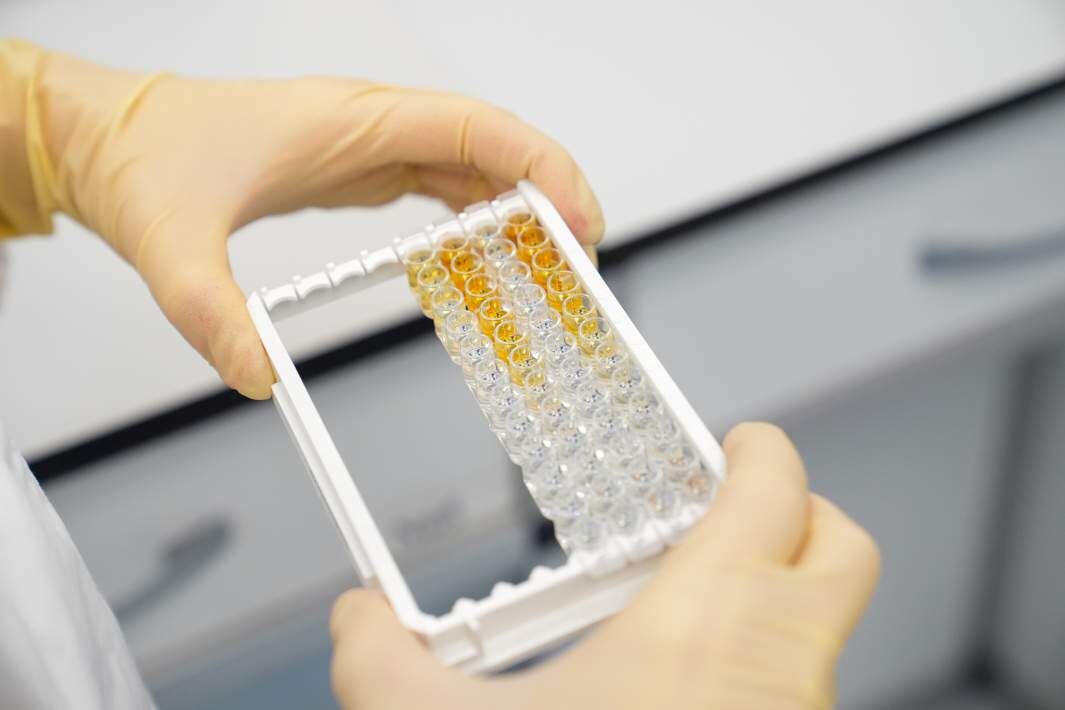 Фото: ИЗВЕСТИЯ/Эдуард Корниенко