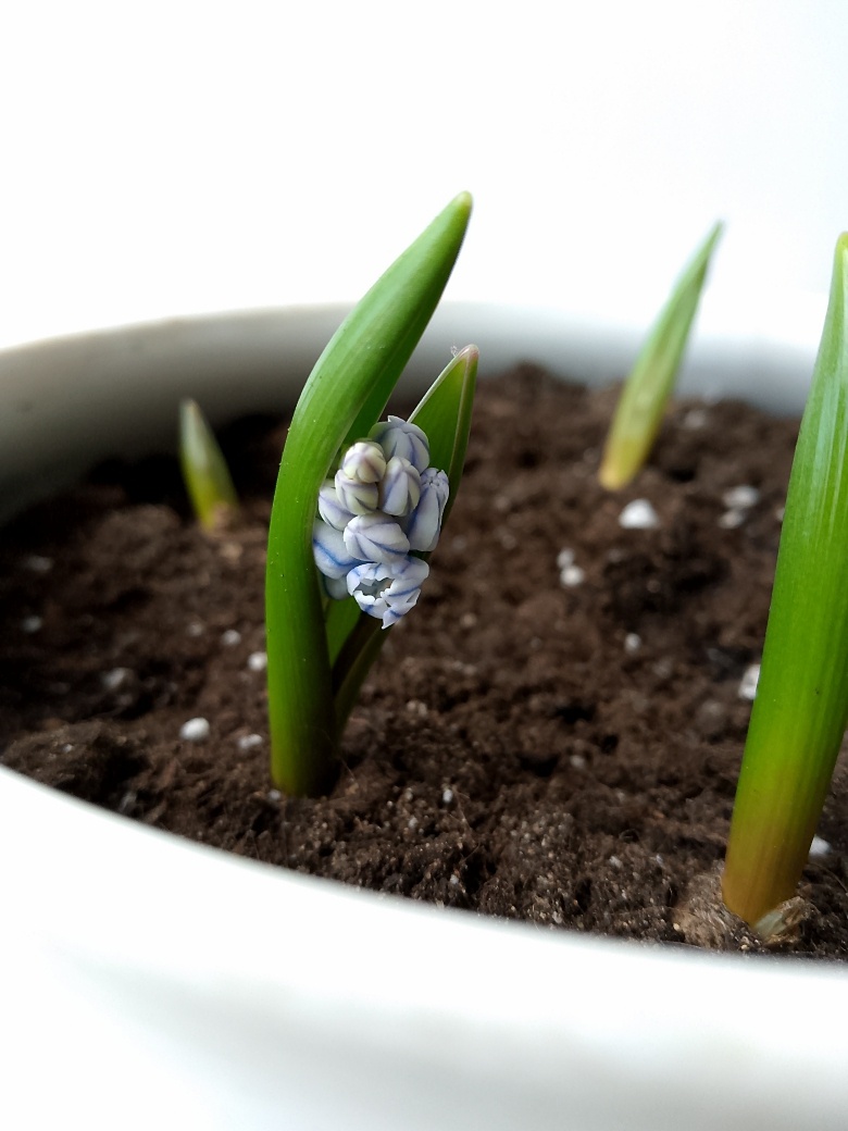 Середина февраля 2025 года. В ожидании чуда