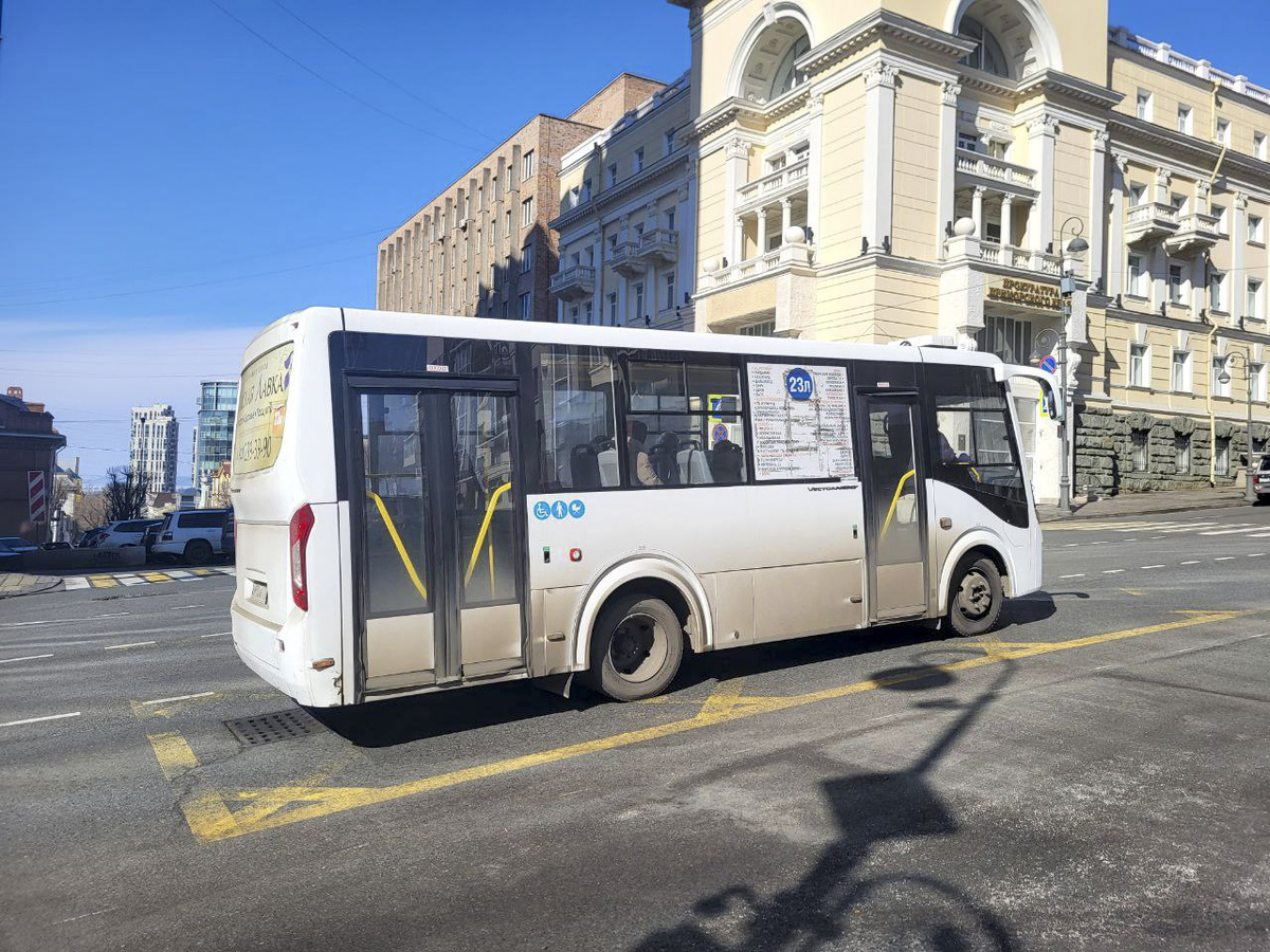 Стоимость проезда в автобусах может вырасти.  Фото: Фото: ФедералПресс / Анна Миронова