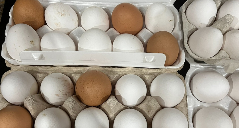    Фото volgogradru.com