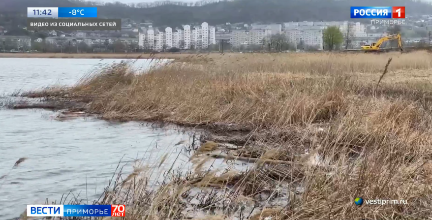    Источник фото: