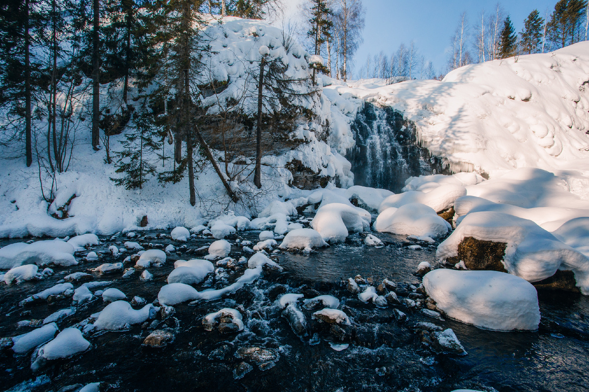фото: Валерий Степанюк